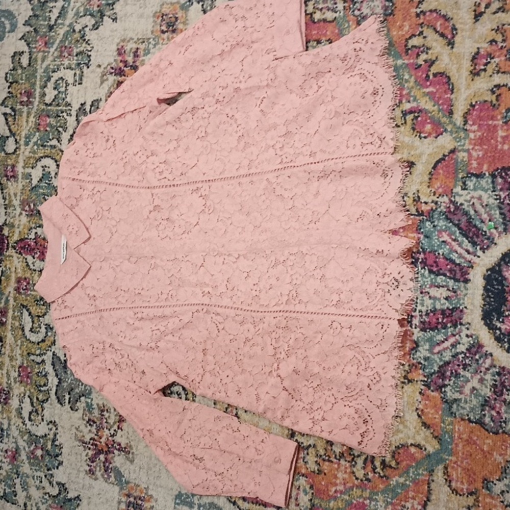 Isaac Mizrahi Live! Avenue Floral Sheer Lace Light Pink Blouse